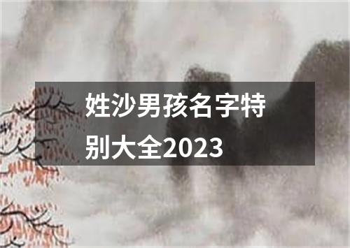 姓沙男孩名字特别大全2023