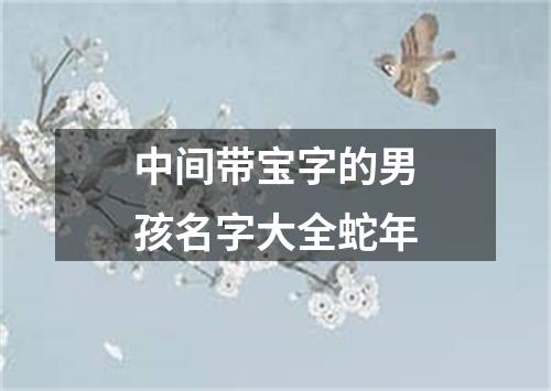 中间带宝字的男孩名字大全蛇年