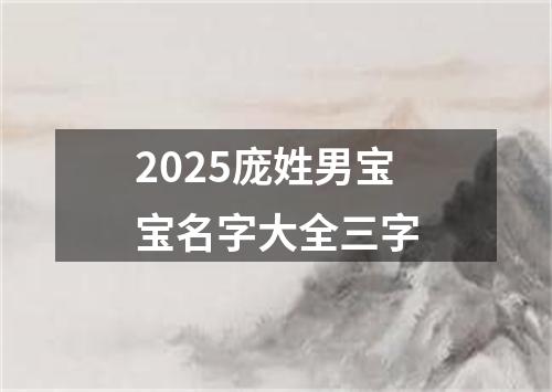 2025庞姓男宝宝名字大全三字