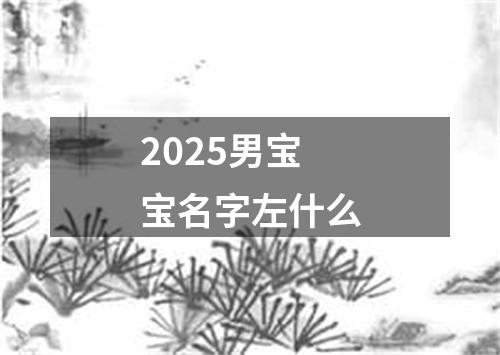 2025男宝宝名字左什么