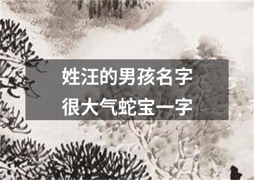 姓汪的男孩名字很大气蛇宝一字