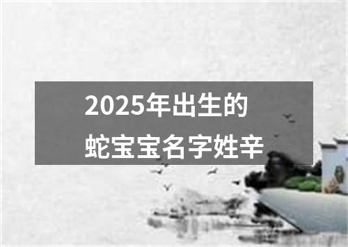 2025年出生的蛇宝宝名字姓辛