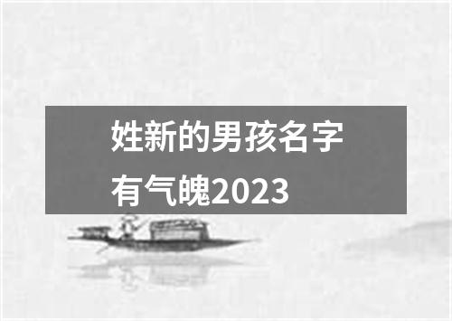 姓新的男孩名字有气魄2023