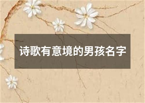 诗歌有意境的男孩名字