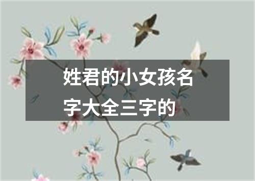 姓君的小女孩名字大全三字的