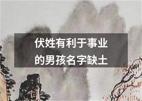 伏姓有利于事业的男孩名字缺土