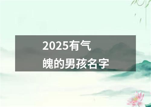 2025有气魄的男孩名字